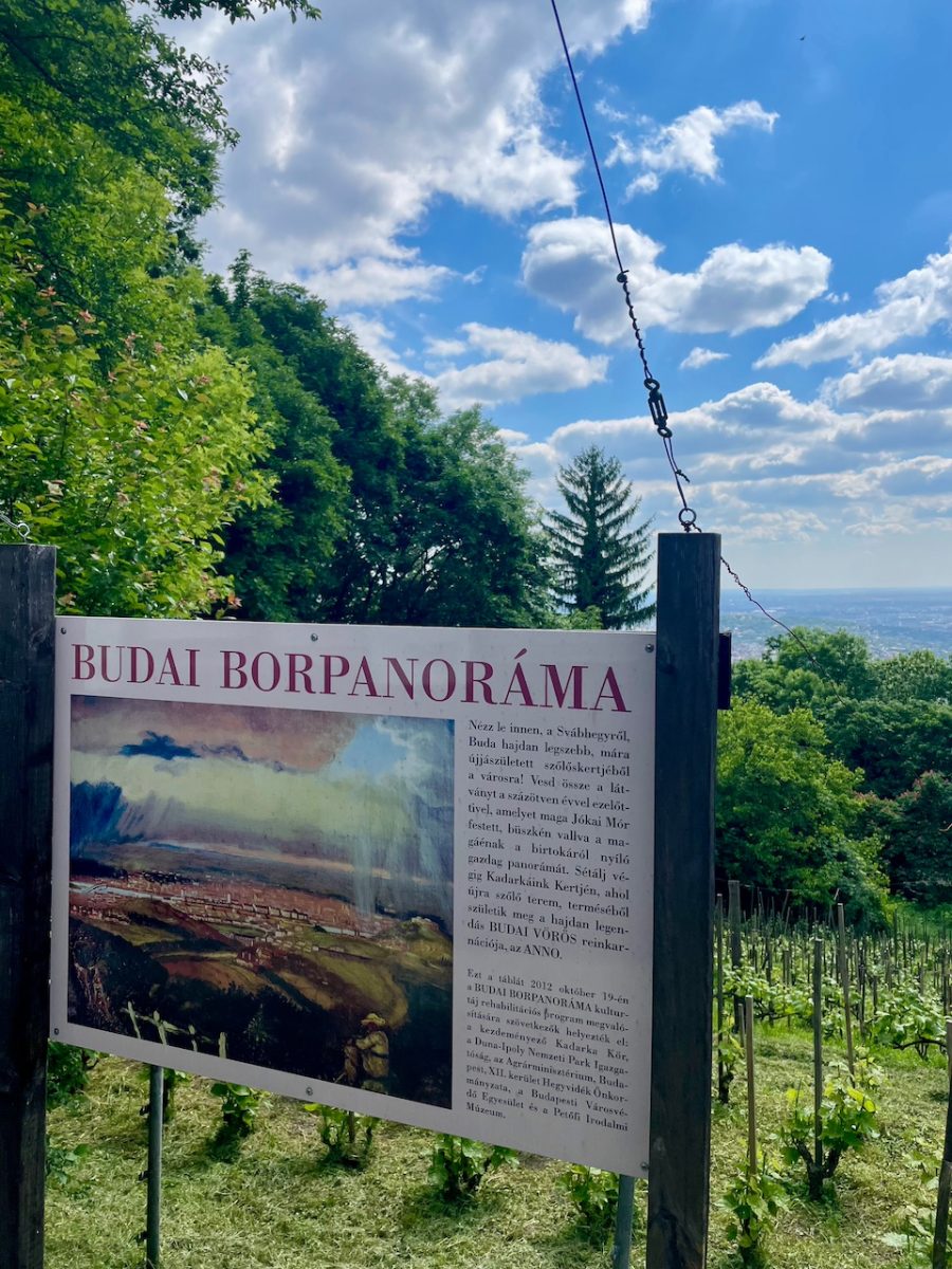 Megújult a Jókai-kert és a Steindl-villa, megnyílt a Madárország Látogatóközpont