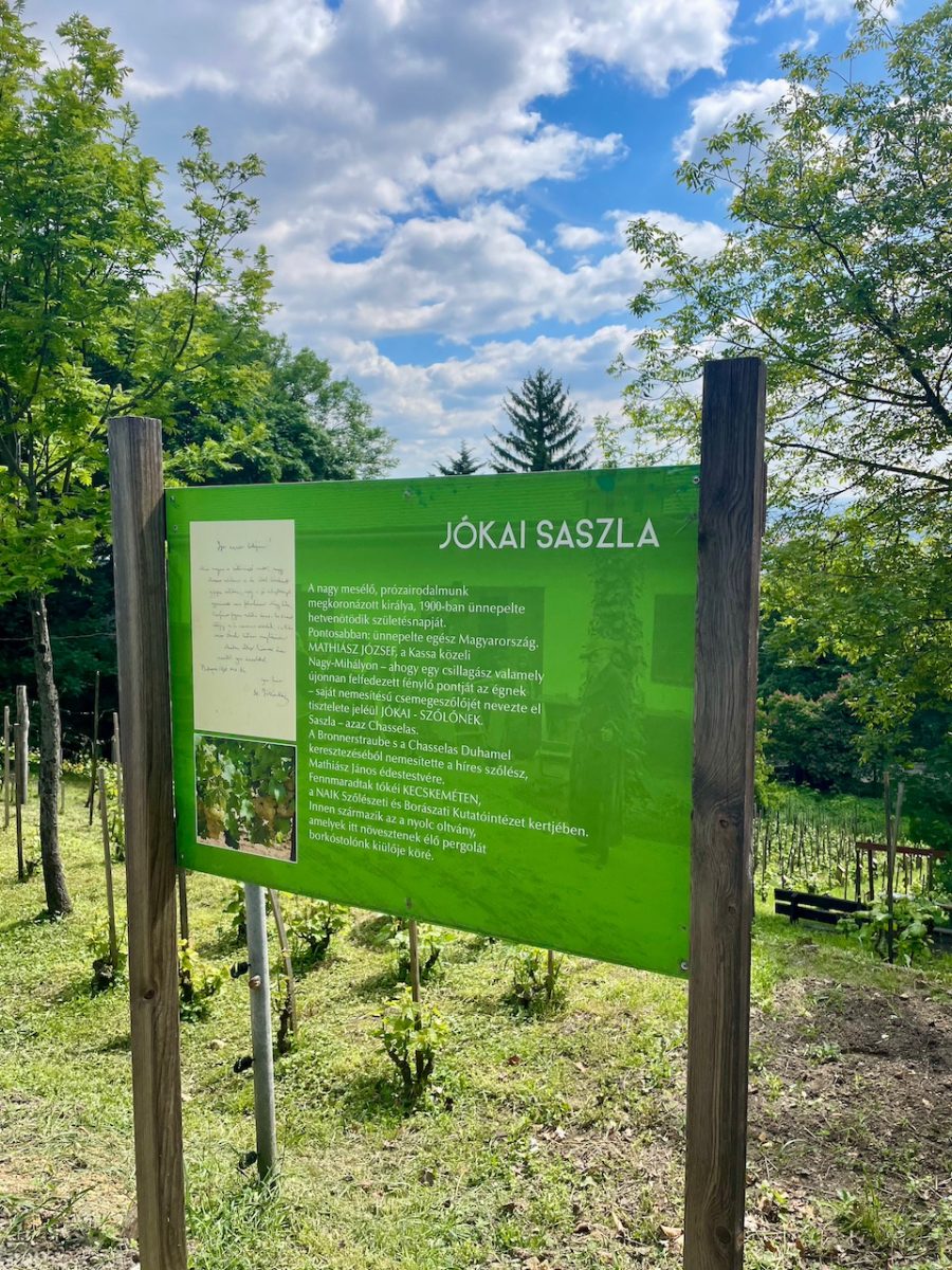 Megújult a Jókai-kert és a Steindl-villa, megnyílt a Madárország Látogatóközpont