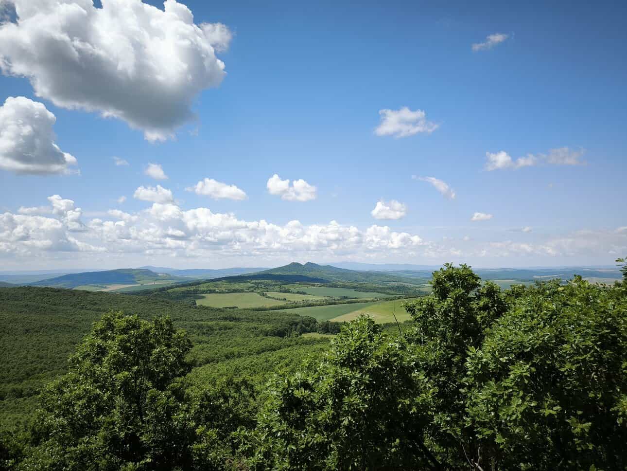 Sasbérci-kilátó, a Cserhát Csipkerózsika-tornya