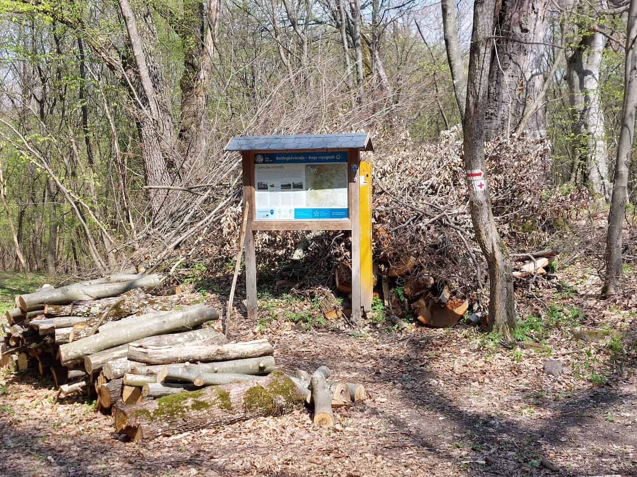 Erdő mélyén bújik meg a gönci pálos kolostorrom (túraleírás)