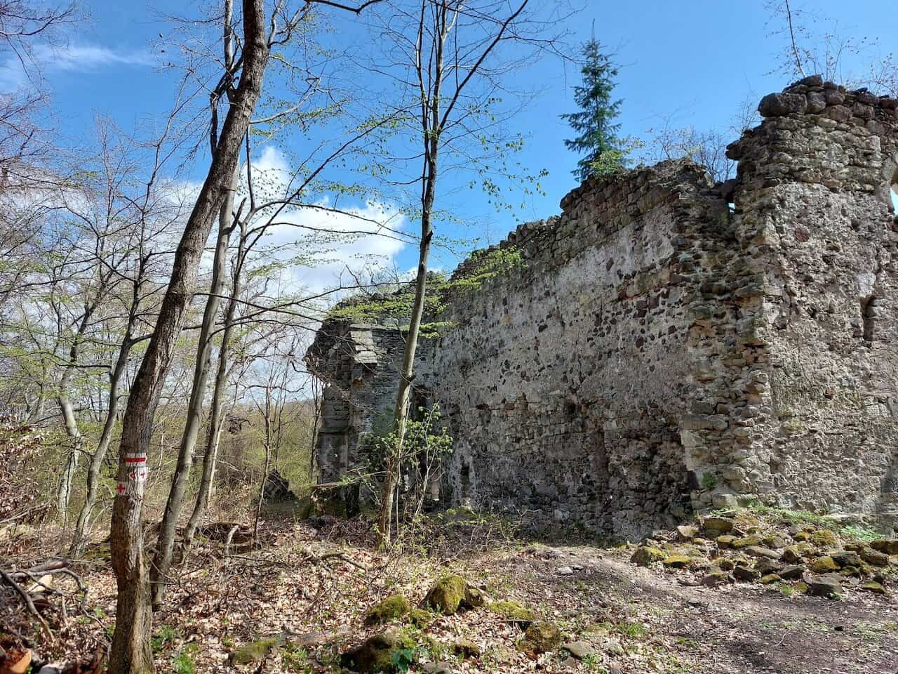 Erdő mélyén bújik meg a gönci pálos kolostorrom (túraleírás)