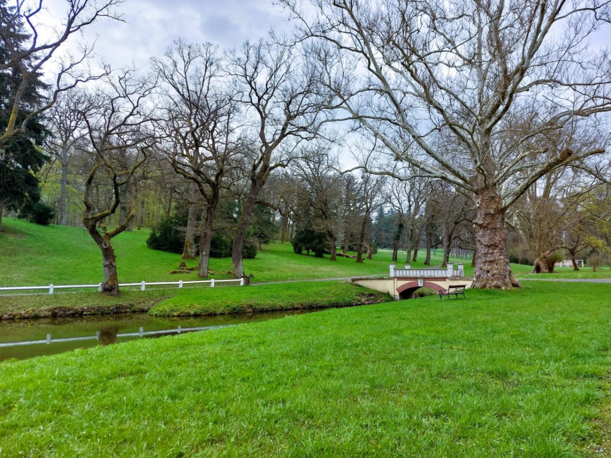 Séta a füzérradványi Károlyi-kastély parkjában