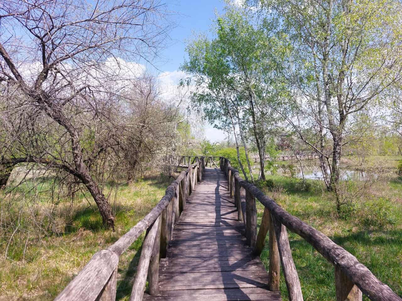 Szent Jakab sétány - 2 km hosszú fapallós tanösvény Dabason