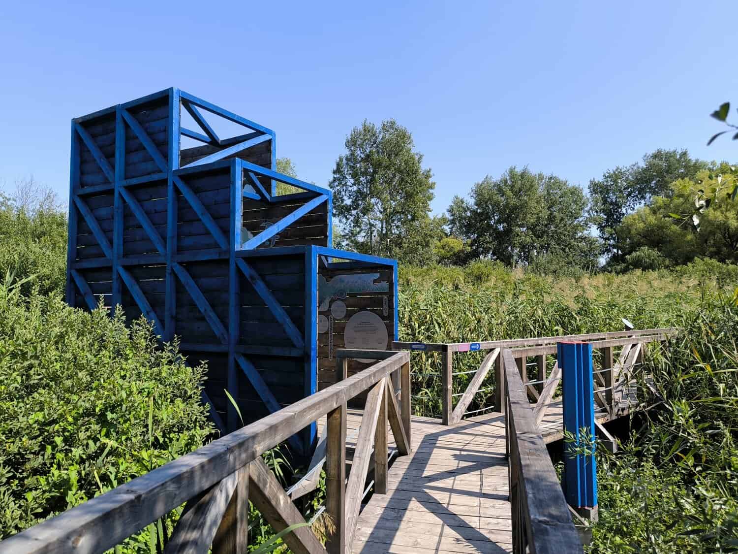 Teknős tanösvény: Cölöpsétány, lidércfény és lápjáró Dunakeszin