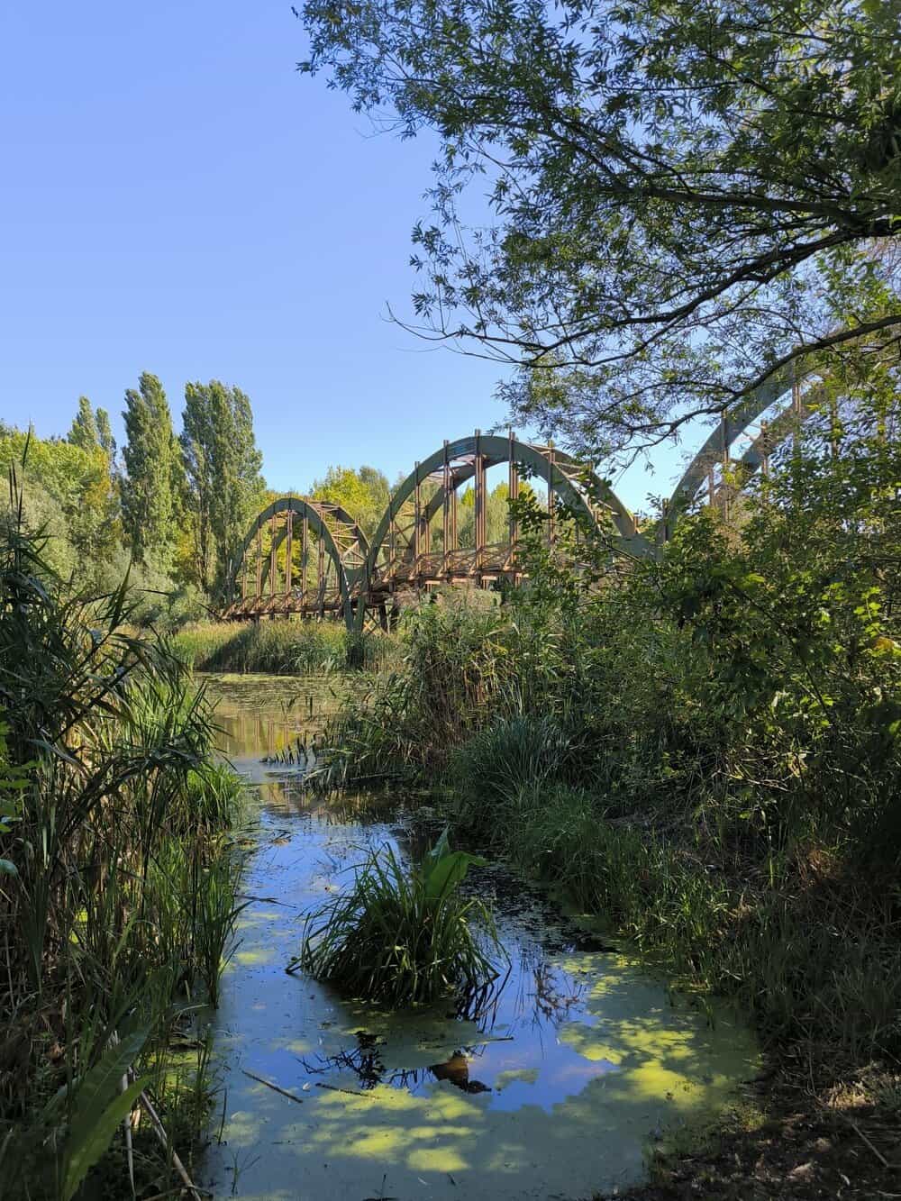 Top 5 gyerekbarát kirándulóhely a Kis-Balatonnál