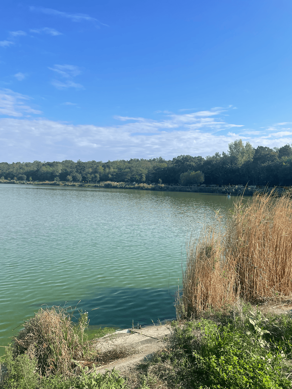 Élményekkel teli kirándulás a Naplás-tó környékén