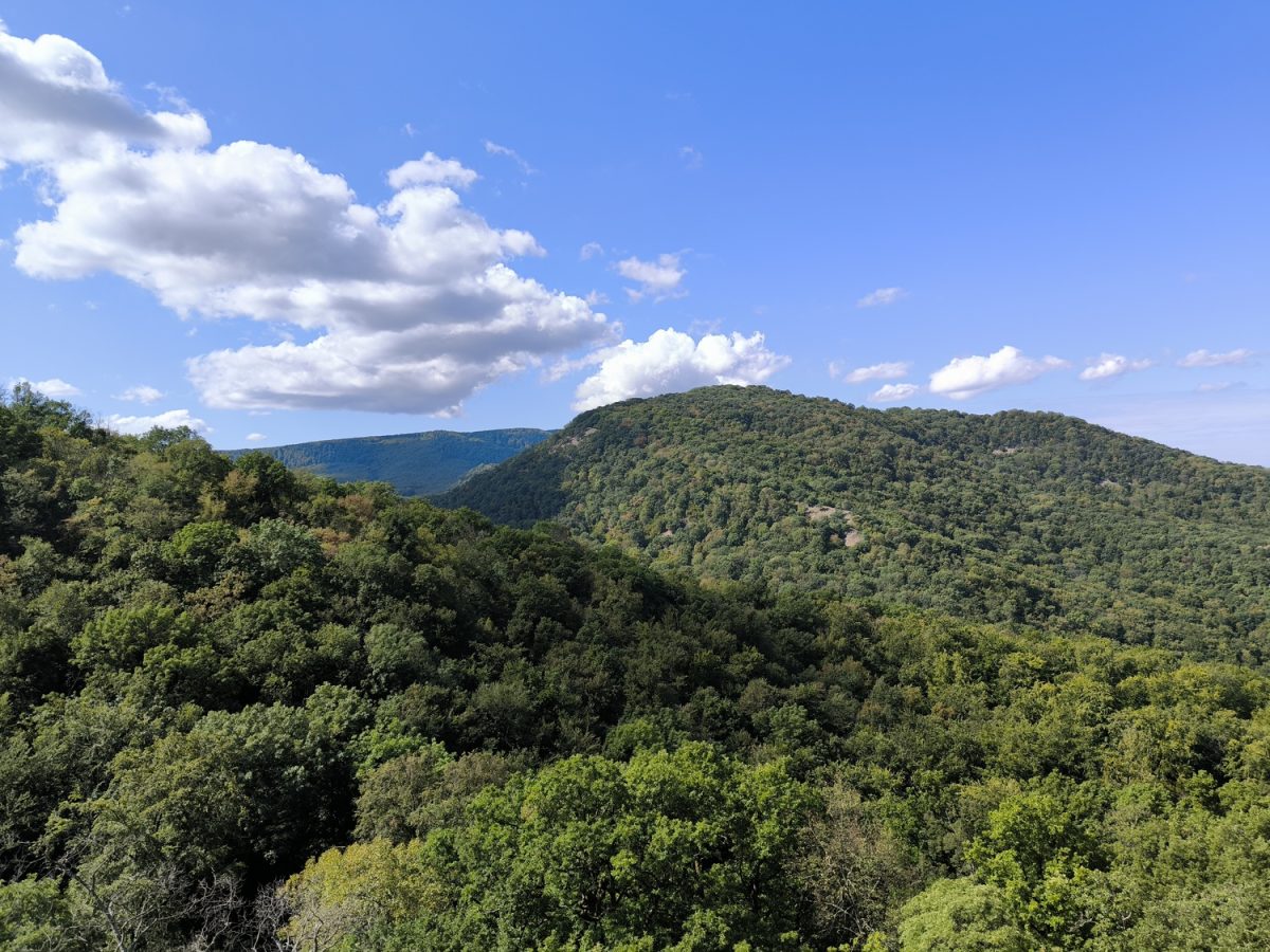 Spartacus-ösvény: Túra a Dunakanyar sziklás-panorámás útvonalán