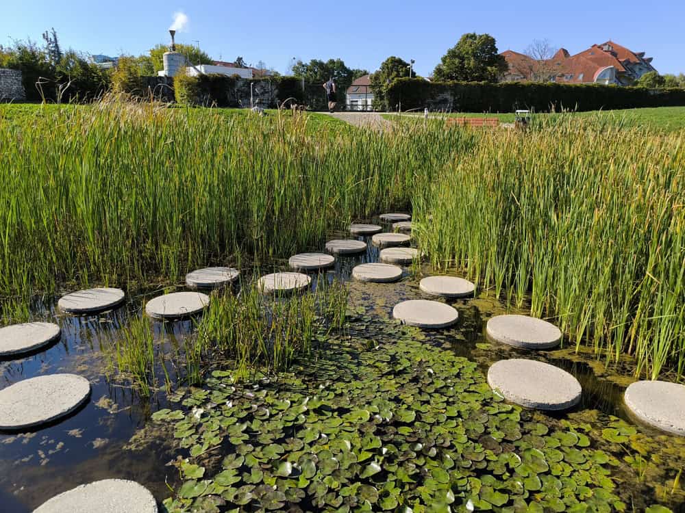Top 5 gyerekbarát kirándulóhely a Kis-Balatonnál
