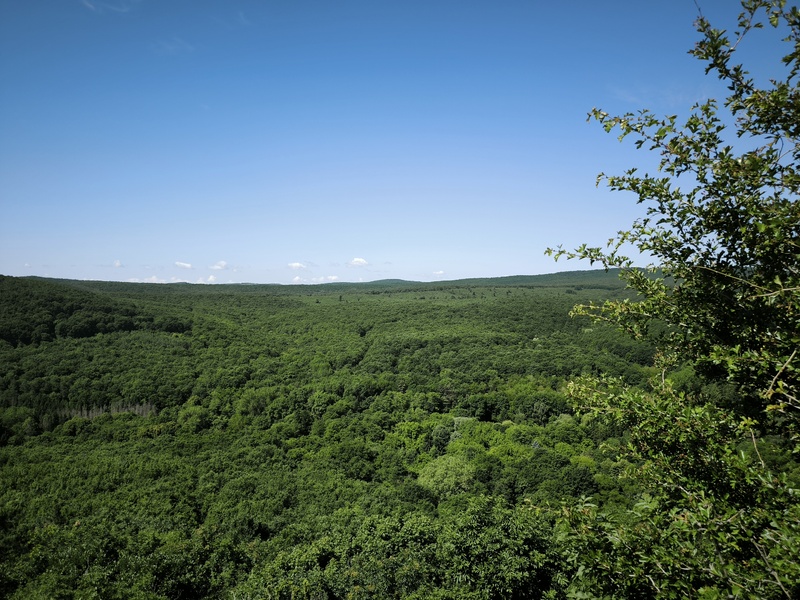 Bujáki vár: Rövid túra a Cserhát vadregényes várromjához