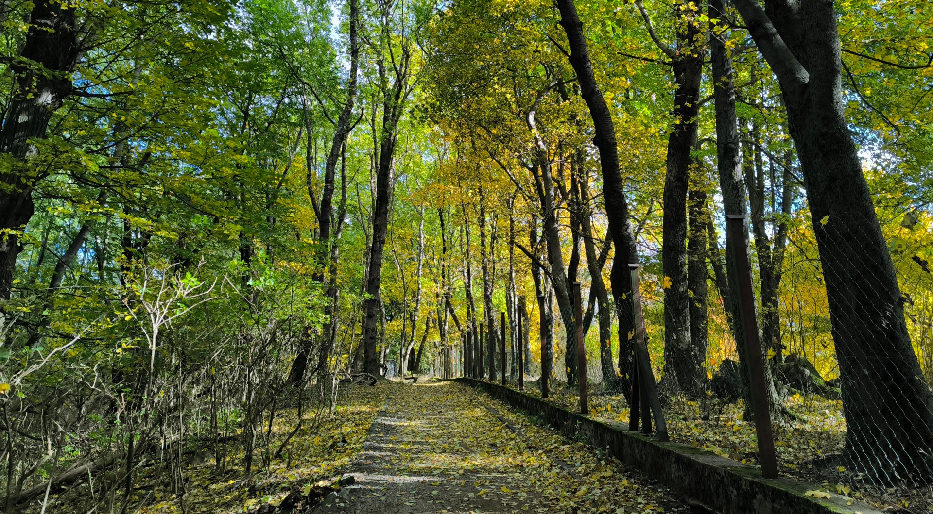 Top 5 meseszép Dobogókőről induló túra, amit nem hagyhatsz ki