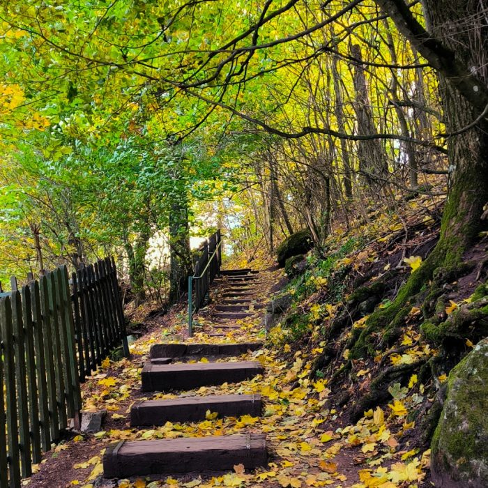 Top 5 meseszép Dobogókőről induló túra, amit nem hagyhatsz ki