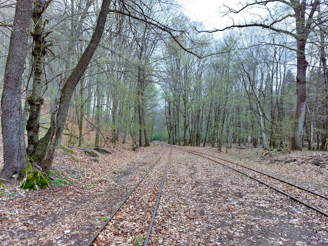 Zempléni kalandok: Pálházi kisvasút, középkori vízimalom és a Bózsvai-szikla 