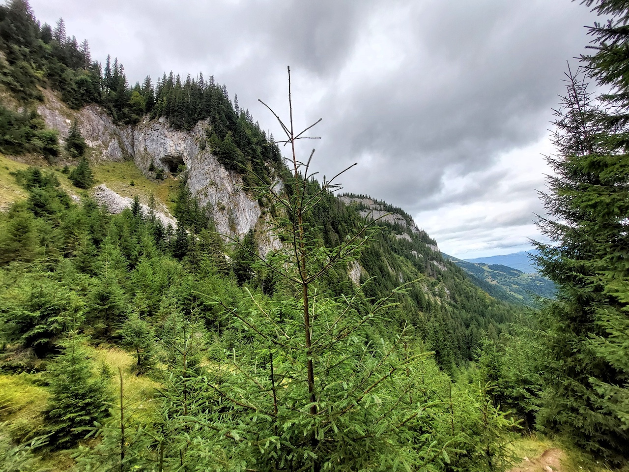 Felvonós kirándulás Erdélyben, a Radnai-havasok és a Máramarosi-havasok területén