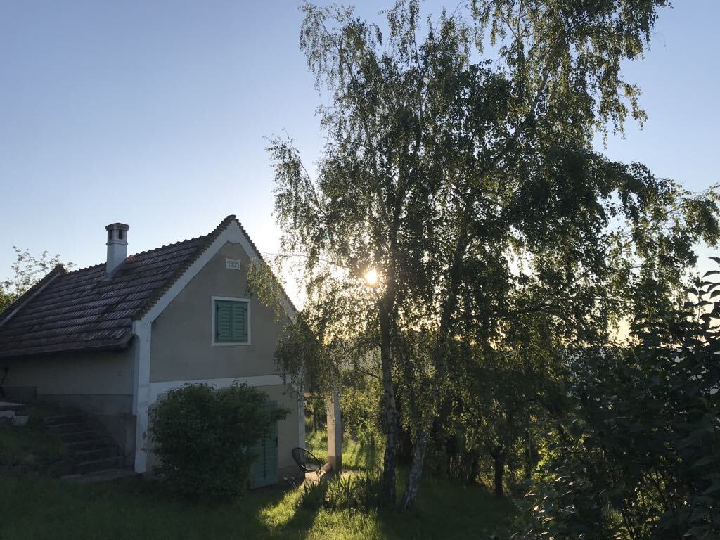 Csobánc Vinyard Cottage - kiadó ház balatoni panorámával