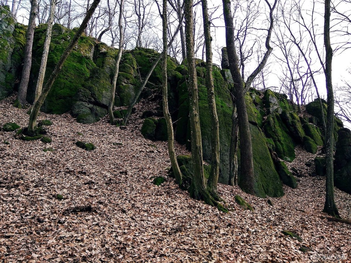 Kő-völgyi tanösvény