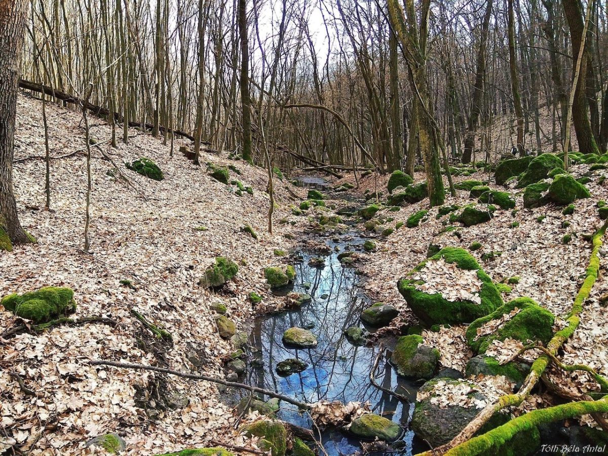 Kő-völgyi tanösvény