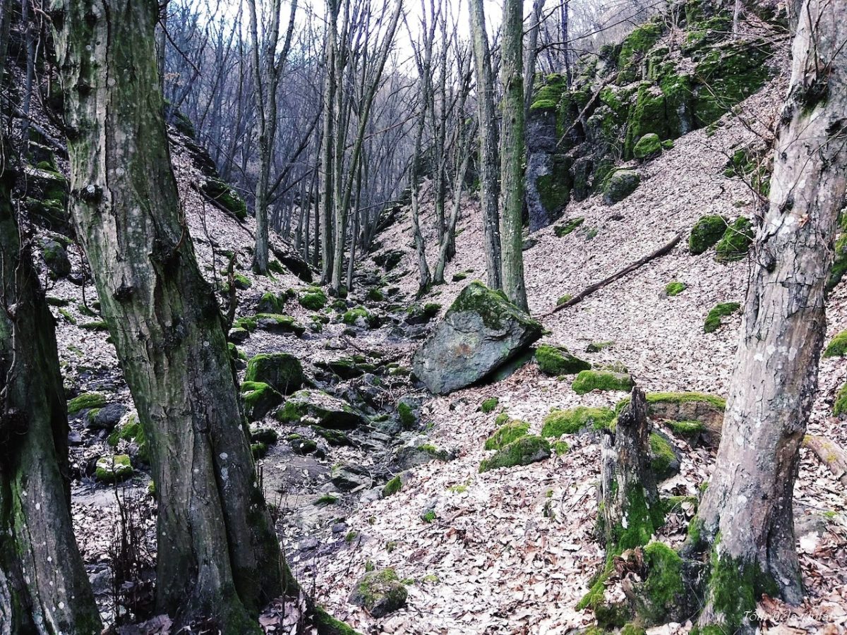 Kő-völgyi tanösvény