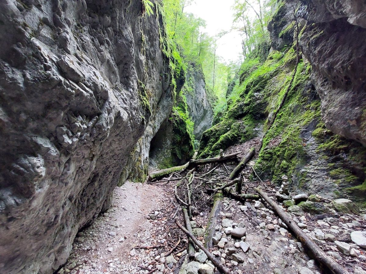 Túra a Bihar-hegységben: Szegyesd-völgy és Schmidl-kanyon