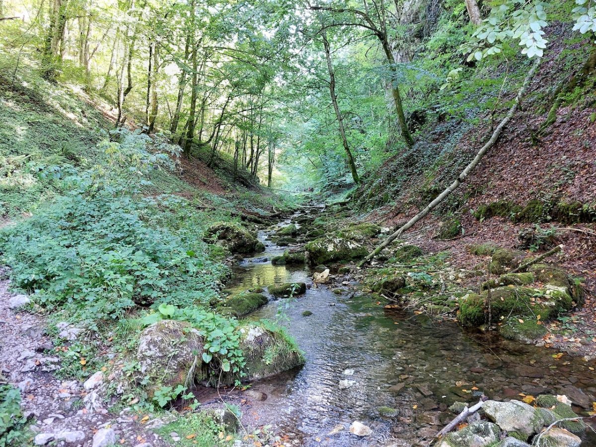Túra a Bihar-hegységben: Szegyesd-völgy és Schmidl-kanyon