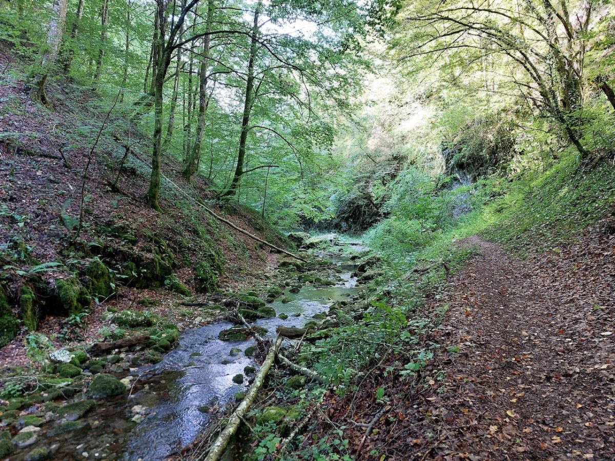 Túra a Bihar-hegységben: Szegyesd-völgy és Schmidl-kanyon
