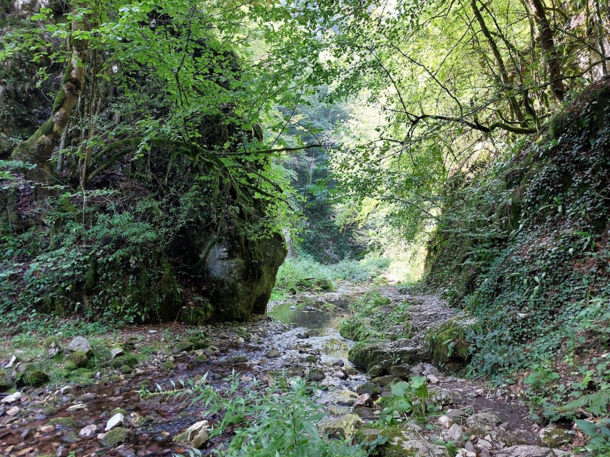 Túra a Bihar-hegységben: Szegyesd-völgy és Schmidl-kanyon