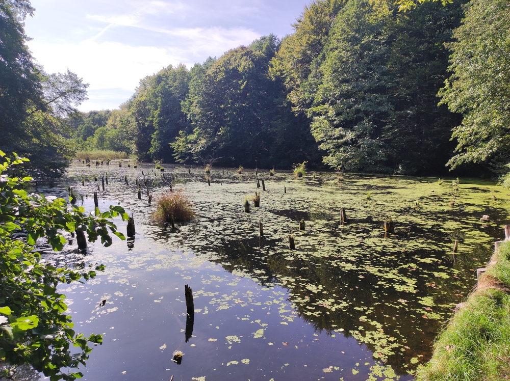 10 tipp, hogy a tavaszi kirándulás tökéletes legyen, Bakonybél