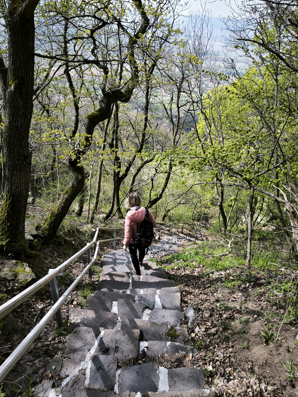 PICK Bordó körtúra, Bujdosók lépcsője