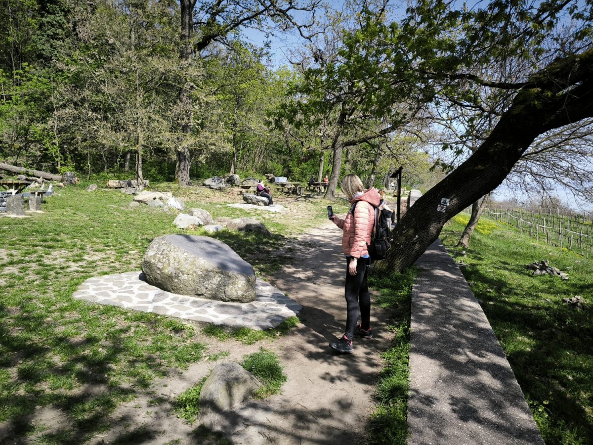 Rózs-kő, PICK Bordó körtúra