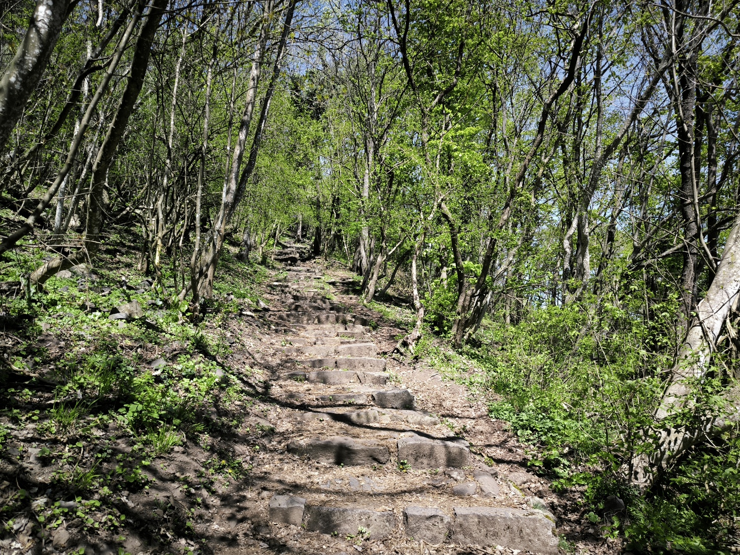 PICK Bordó körtúra