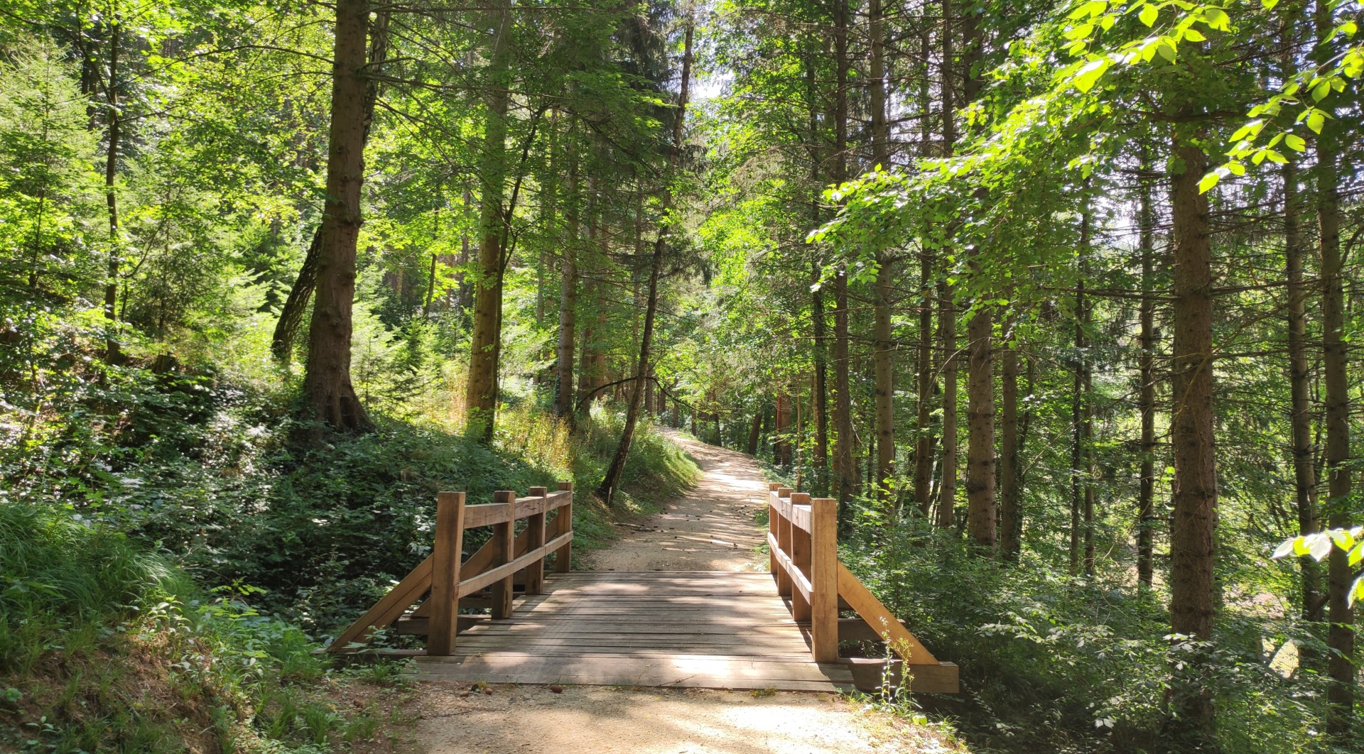 Tavaszi kirándulás gyerekekkel