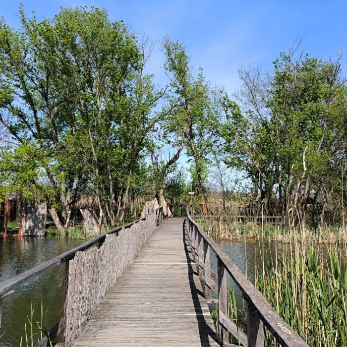 3 napos úti terv a Tisza-tónál gyerekekkel