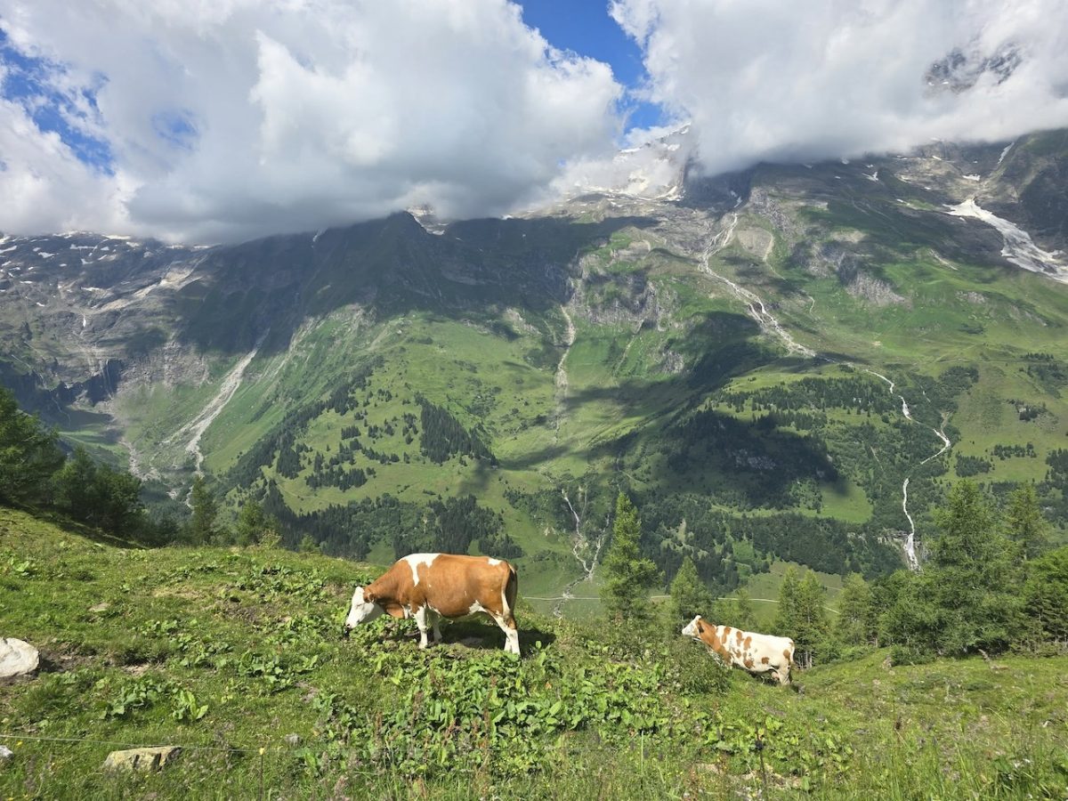 Az Alpok leghíresebb panorámaútja, a Grossglockner Hochalpenstrasse