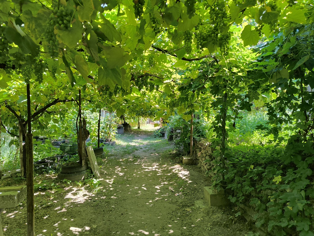 Bugaszegi Téglagaléria, Balatonboglár