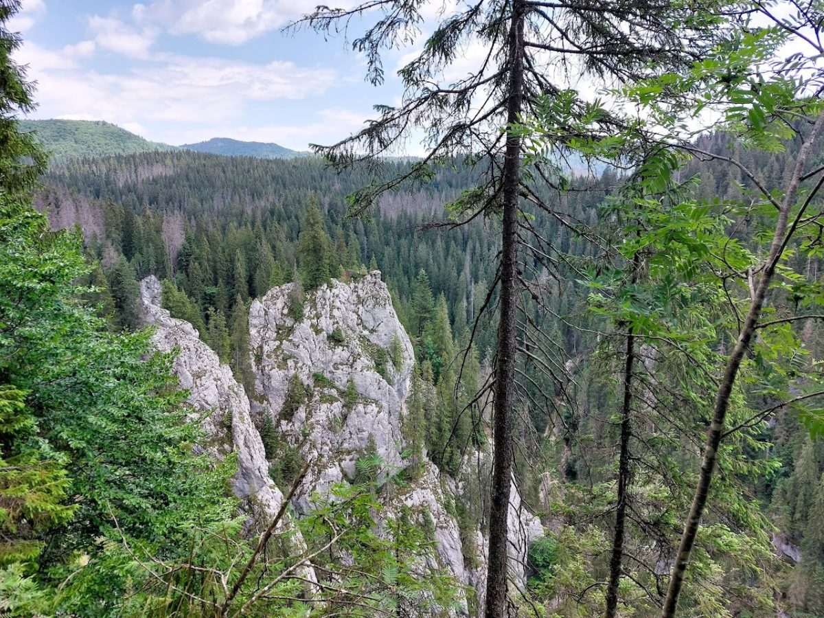 Csodavár túra
