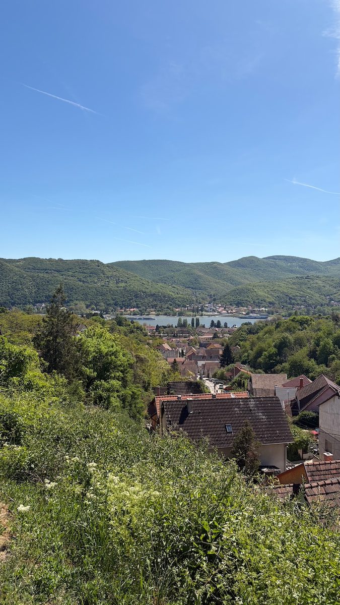 Panorámás körtúra Nagymaros felett, a Kapu-hegyen át